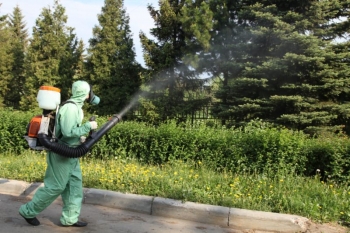 Уничтожение комаров в Орехово-Зуево
