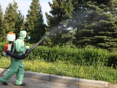 Уничтожение комаров в Орехово-Зуево